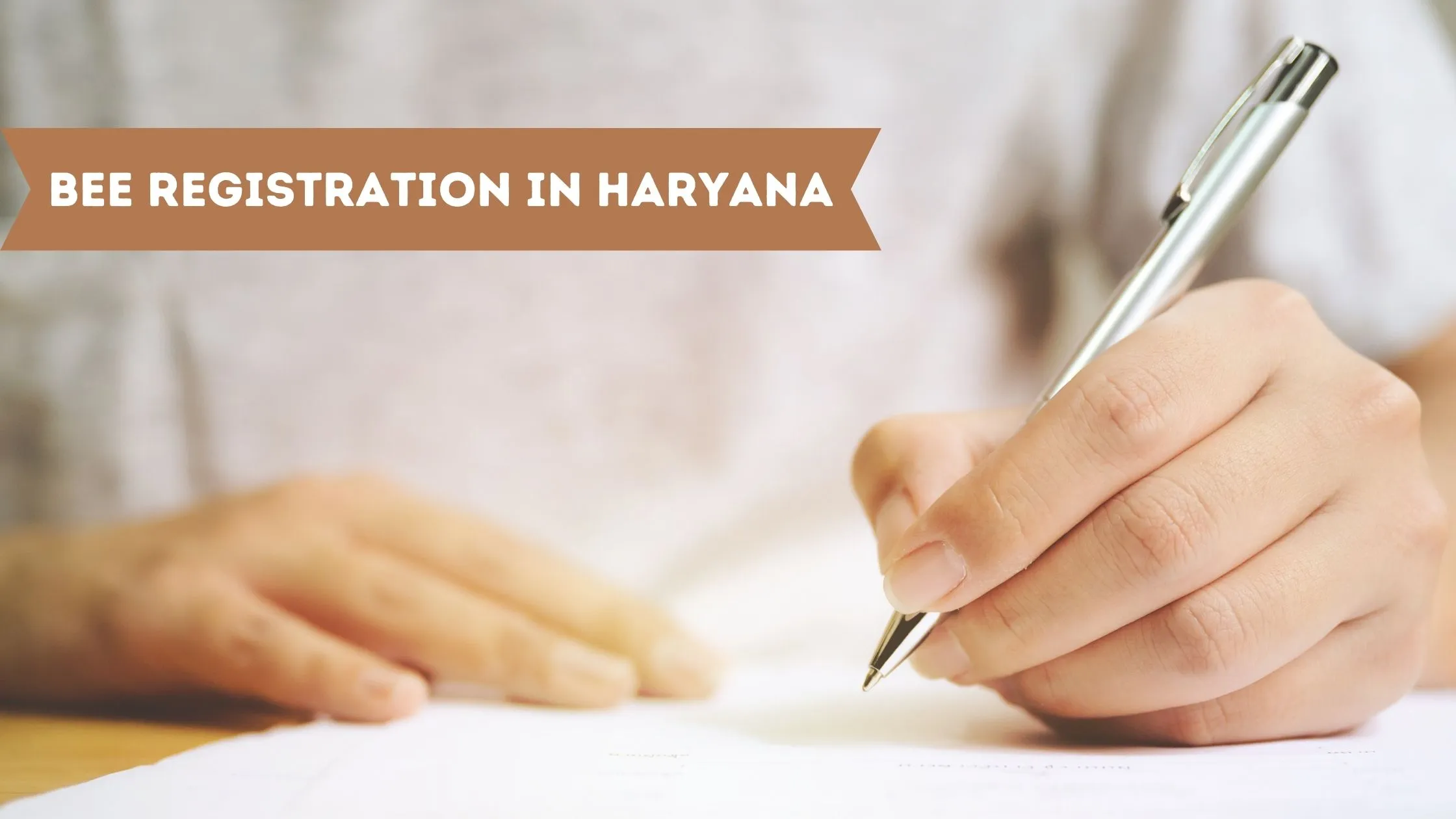 BEE Registration in Haryana