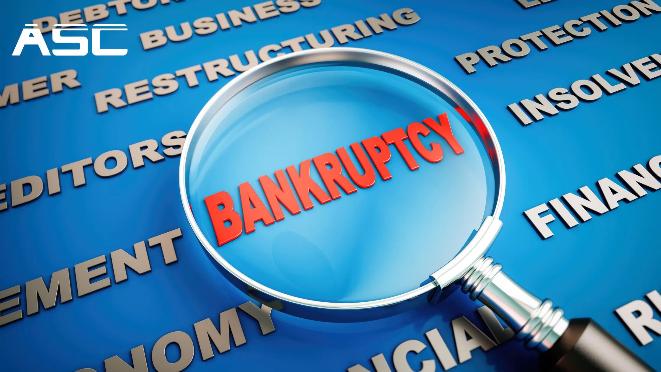 Bankruptcy Trustee